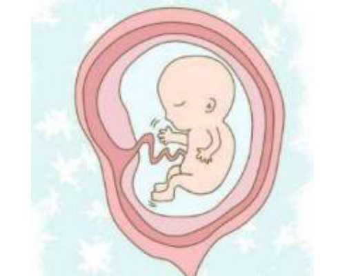 合肥供卵成功率,合肥安医做试管婴儿大概需要多长时间和费用_试管移植后多久